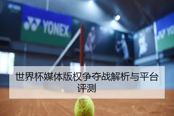 世界杯媒体版权争夺战解析与平台评测