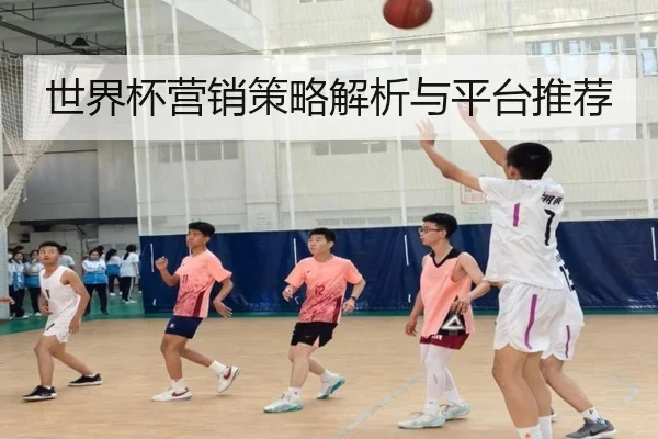 世界杯营销策略解析与平台推荐
