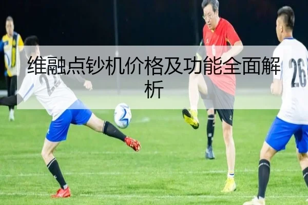 维融点钞机价格及功能全面解析
