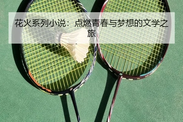 花火系列小说：点燃青春与梦想的文学之旅