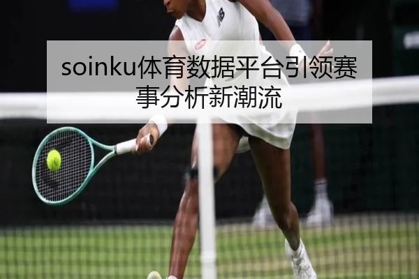 soinku体育数据平台引领赛事分析新潮流