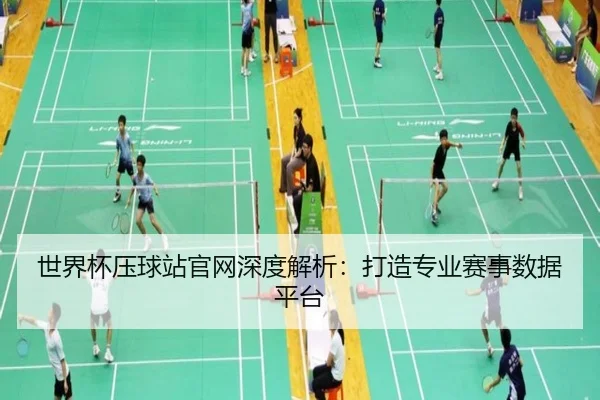 世界杯压球站官网深度解析：打造专业赛事数据平台