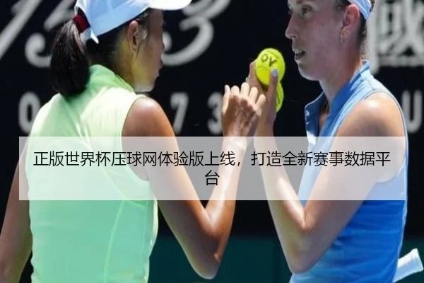 正版世界杯压球网体验版上线，打造全新赛事数据平台