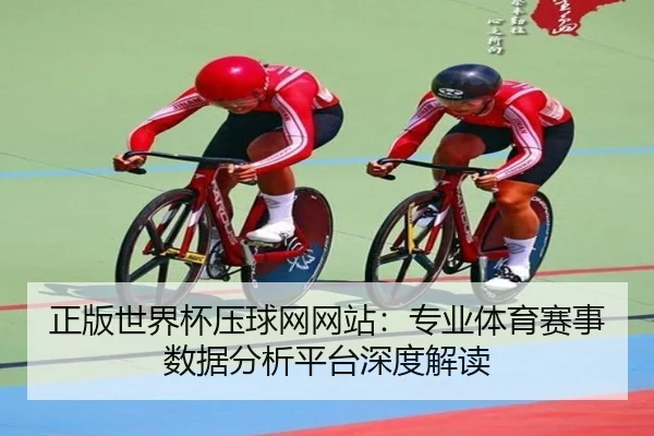正版世界杯压球网网站：专业体育赛事数据分析平台深度解读