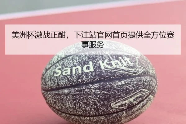 美洲杯激战正酣，下注站官网首页提供全方位赛事服务
